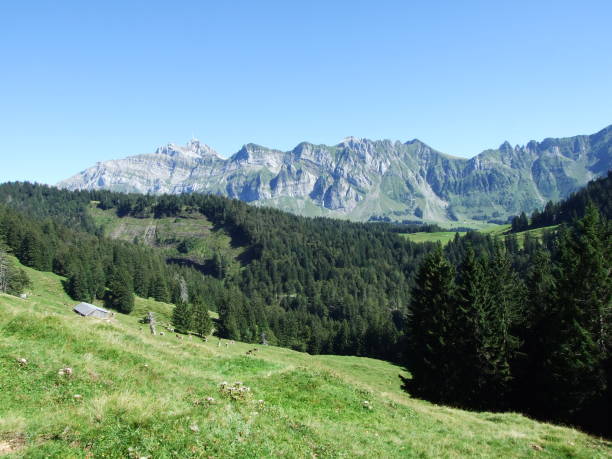 istock Picturesque hills, forests and pastures in Ostschweiz 1126845946