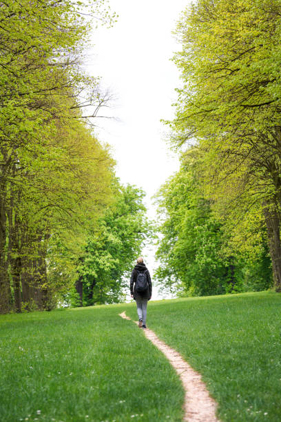 sendero verde - tree area beautiful vanishing point tree trunk fotografías e imágenes de stock