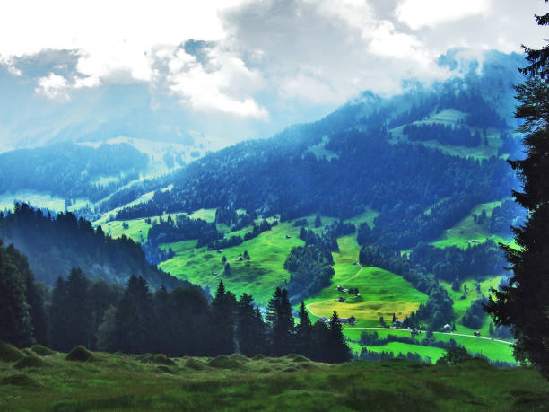 istock Subalpine forests in the Ostschweiz region 1126847003