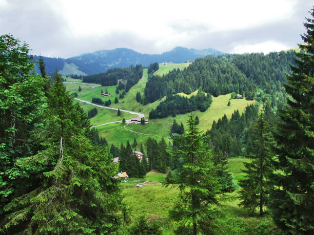 istock Subalpine forests in the Ostschweiz region 1126847030