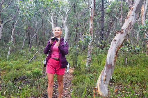 Bushwalker or a bird watcher on a a narrow trail of a mountain hike.  She is standing beside a squiggly gum in a forest of gums and fragrant eucalypts, holding binoculars