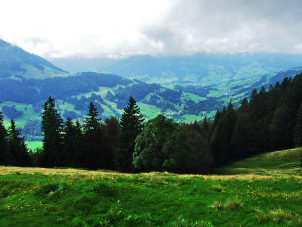 istock Picturesque hills, forests and pastures in Ostschweiz 1126848574