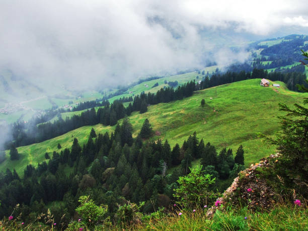 istock Picturesque hills, forests and pastures in Ostschweiz 1126848578