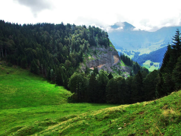 istock Picturesque hills, forests and pastures in Ostschweiz 1126849097