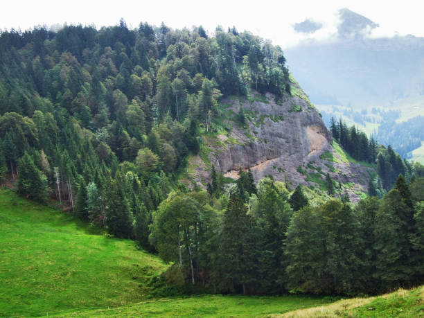 Picturesque hills, forests and pastures in Ostschweiz