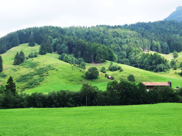 istock Picturesque hills, forests and pastures in Ostschweiz 1126849264