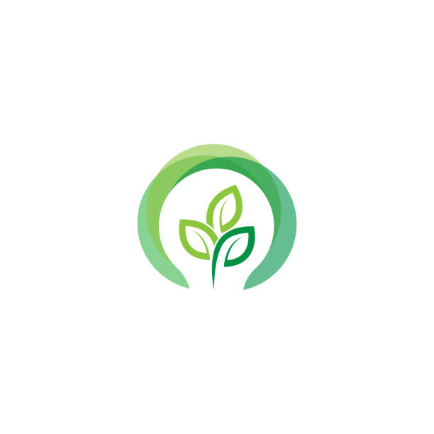 緑色の光球葉シンボル ロゴ ベクトル。 グリーン エネルギーのロゴ。様式化されたエコ ロゴ バイオ燃料。再生可能なグリーン エネルギー ロゴ - ベクトル - tree foliage点のイラスト素材／クリップアート素材／マンガ素材／アイコン素材
