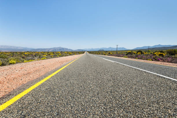 On the garden route in direction to Cape Town