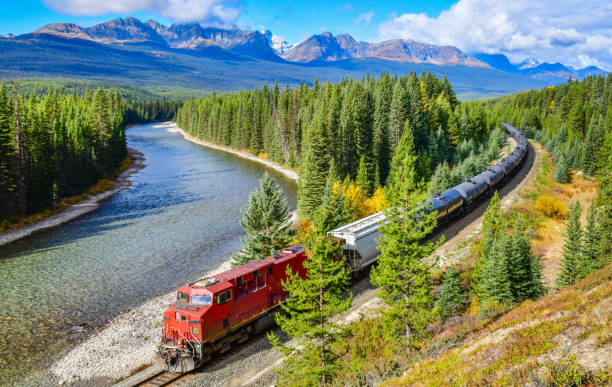 Train passing famous Morant's curve in Banff,Canada. stock photo