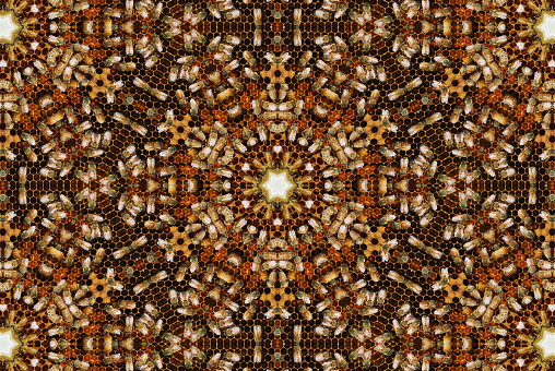 Beehives are naturally Repetitive and Uniformly Set Out. Extending on the Hexagonal Nature of Beehives, the Hive has bee manipulated to makes Mandalas. These are Digitally Designed Modern Style Nature Inspired Mandalas of Honey Bees, Honey Comb & Beehives from my Photographic Images.