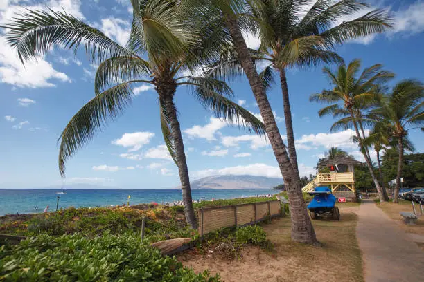 The picturesque Charley Young Beach in Kihei, Maui  (horizontal)