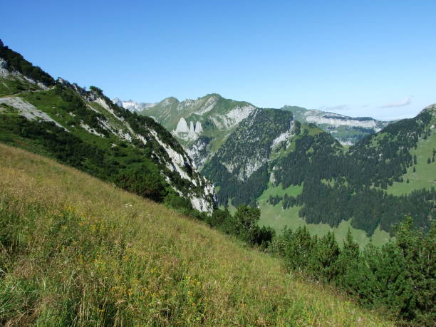 istock Landscape and environment of Alpstein mountain range 1126851079