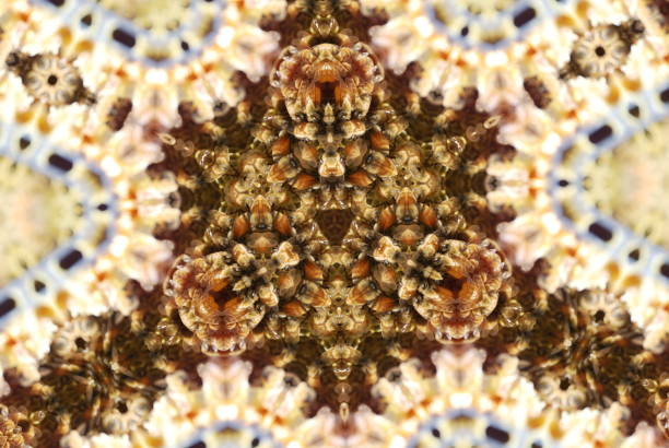 istock Creative Mandalas Inspired by Bees & Beehives 1126853329