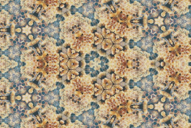 istock Creative Mandalas Inspired by Bees & Beehives 1126854537