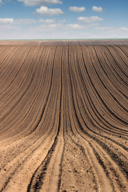 istock plowed field agriculture rural landscape 1126856573