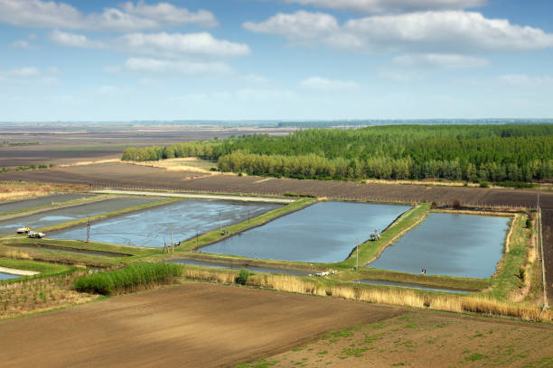 fish pond aerial view agriculture rural landscape stock photo
