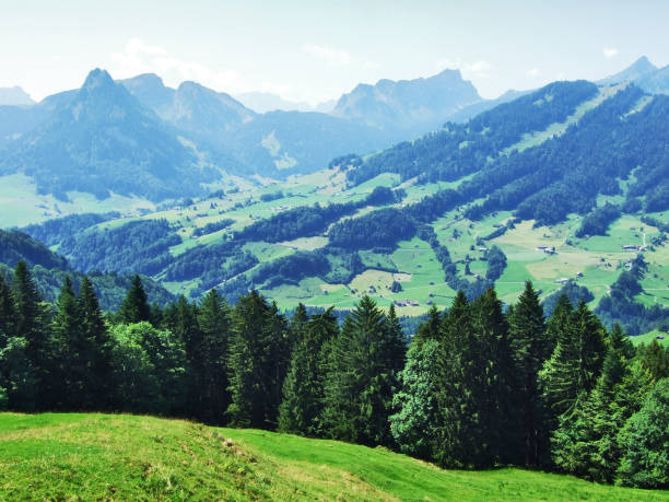 istock Thur River Valley and the Toggenburg Mountain Range 1126857733