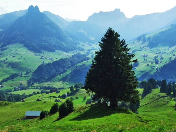 istock Thur River Valley and the Toggenburg Mountain Range 1126857746
