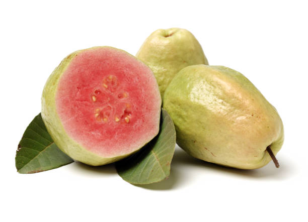 istock Have guava leaves. White Background 1126858948
