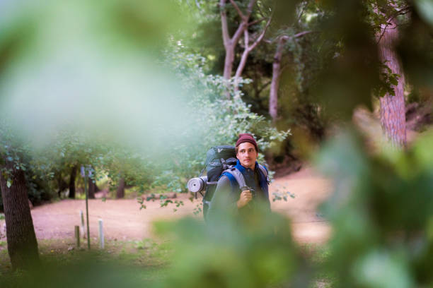 Thoughtful male backpacker looking away while standing on field. Young man is enjoying nature. He is hiking in forest.