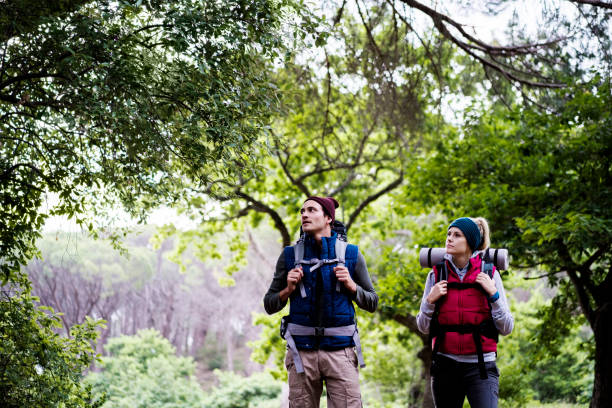 istock Young couple looking away while hiking in forest 1126859826