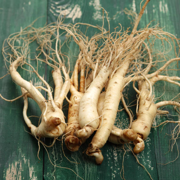 istock Fresh ginseng on Green wooden table 1126859904