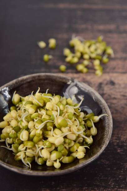 istock Mung bean sprouts on wooden background, selective focus 1126862526