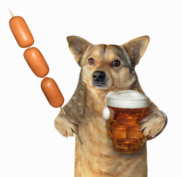 istock Dog with beer and a sausage skewer 1126863287