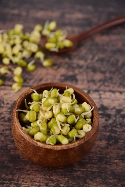 istock Mung bean sprouts in wooden bowl on rustic background, selective focus 1126863311