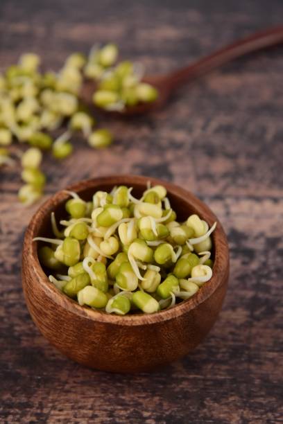 istock Mung bean sprouts in wooden bowl on rustic background, selective focus 1126863384