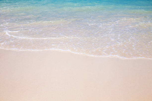 istock Beautiful beach and tropical sea 1126865386