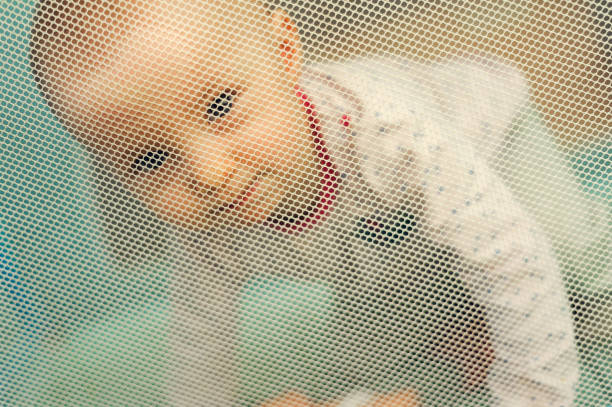 pretty child sitting in playpen and looking through protection mesh