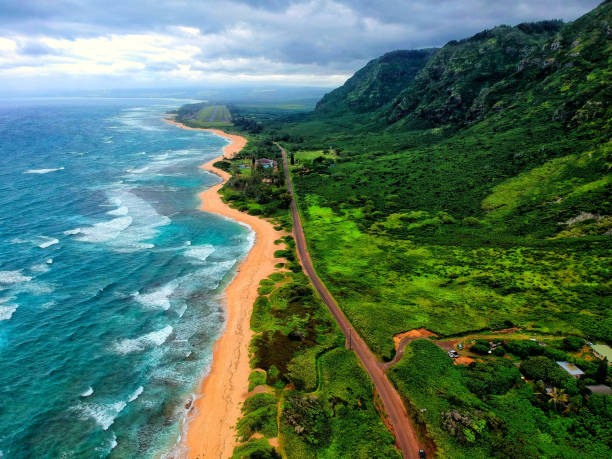 Paradise