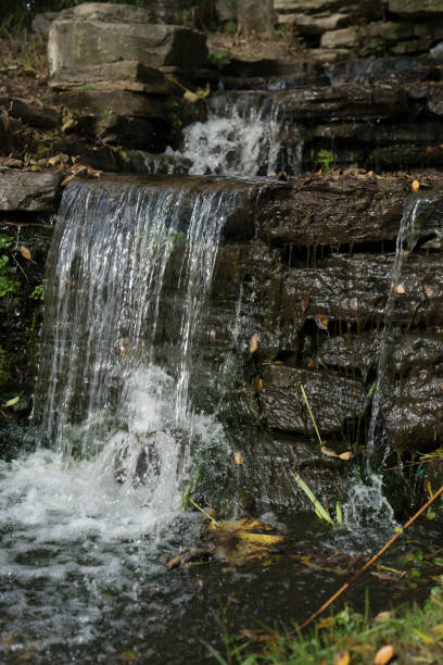 small waterfall in the creek stock photo