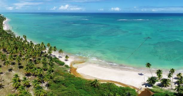 istock Vacation on deserted beach in Brazil. 1126875240