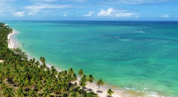 istock Vacation on deserted beach in Brazil. 1126875241