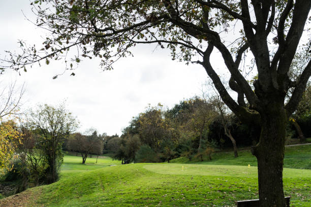 autumn in the park - fotografia de stock