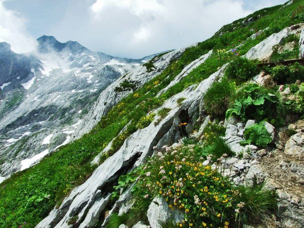 istock Landscape and environment of Alpstein mountain range 1126875788