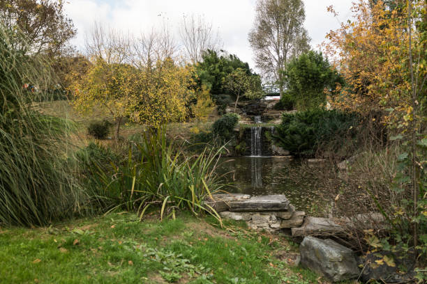 small waterfall in the park - fotografia de stock