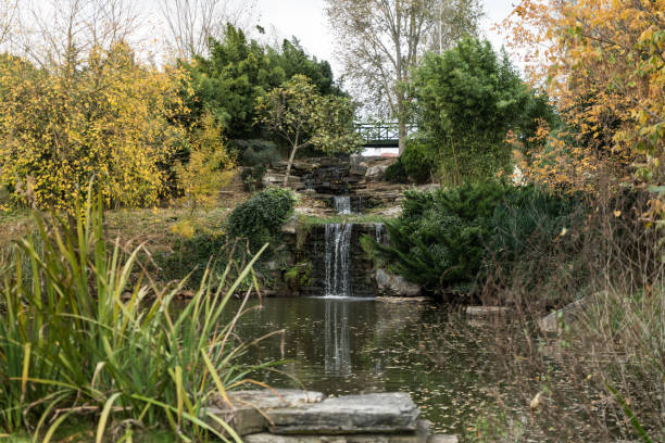 small waterfall in the park stock photo