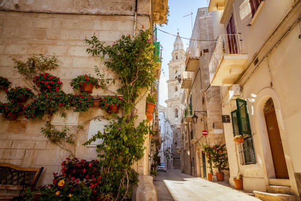 Scenic green flowers on the street corner and cathedral tower in Monopoli, Italy Scenic green flowers on the street corner and cathedral tower in Monopoli oldtown, province Bari, region Puglia, Sauther Italy monopoli puglia stock pictures, royalty-free photos & images