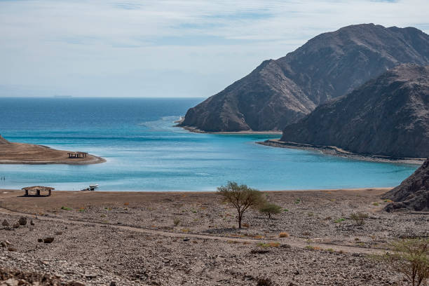istock oast of the red sea between the rocks 1126882400