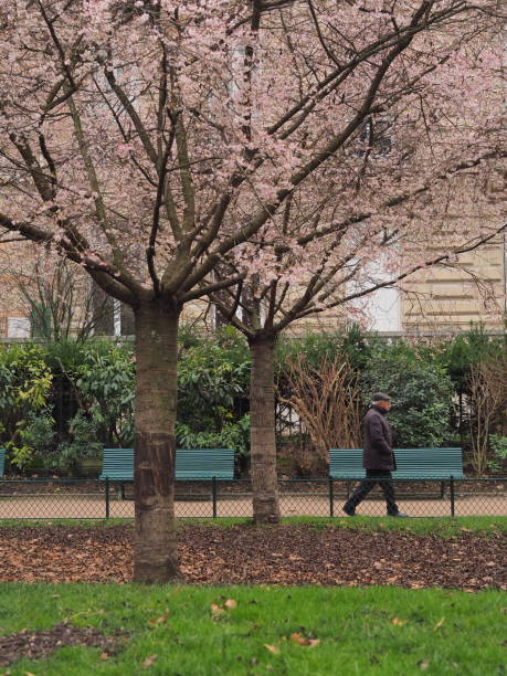 istock man walking in Monceau Park 1126884714