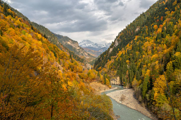 istock Fall Colors in the Caucasus Mountains, Georgia 1126884845