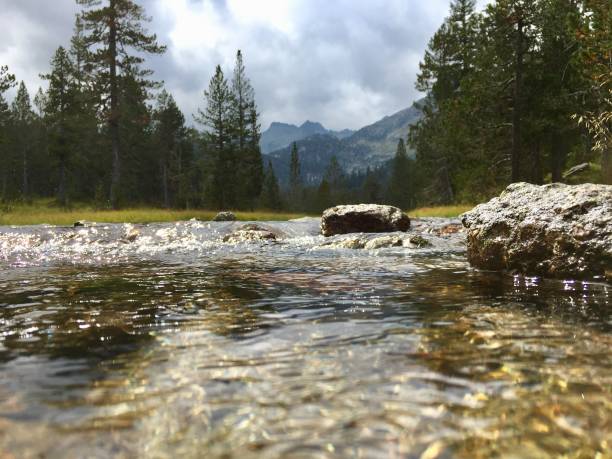 Quiet water in the Pyrenees national nature park (Spain)