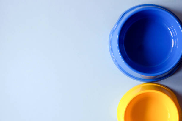 Two empty bowls of blue and yellow for food and pet water.