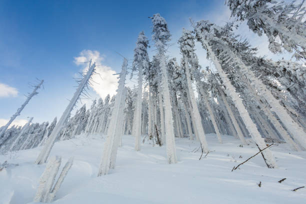istock Winter skitour trekking Beskidy mountains 1126891570