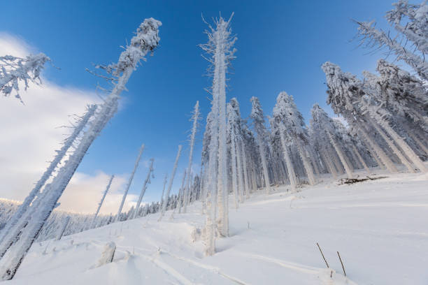 istock Winter skitour trekking Beskidy mountains 1126891757