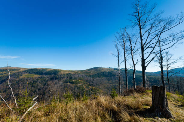 Beautiful panorama taken in polish mountains Beskidy on the way to Skrzyczne from Bialy Krzyz and Malinowska Skala during sunny weather. Landscape captured during trekking.