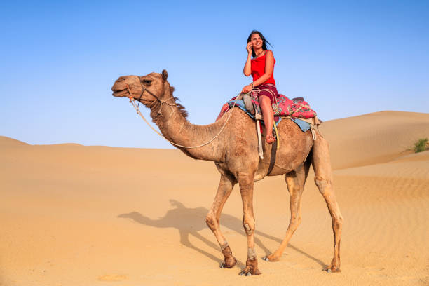 joven turista con móvil en un camello - camel ride fotografías e imágenes de stock